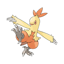 Combusken (#0256)