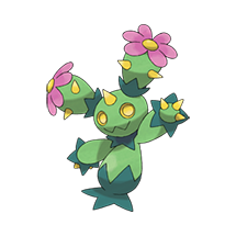 Maractus (#0556)