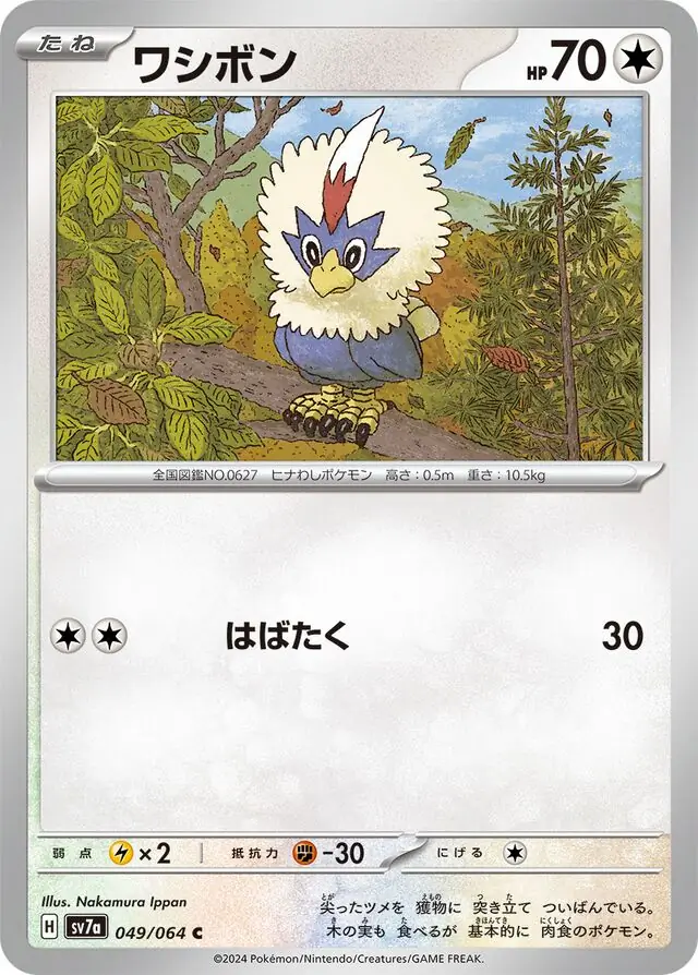 Paradise Dragona - 049/064 - Rufflet (japońska)