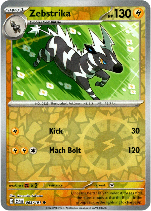 063/191 (Reverse Holo)