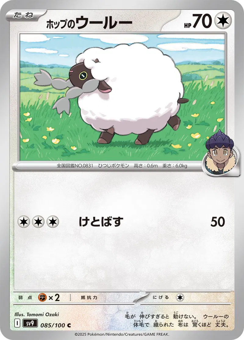 Battle Partners - 085/100 - Hop's Wooloo
