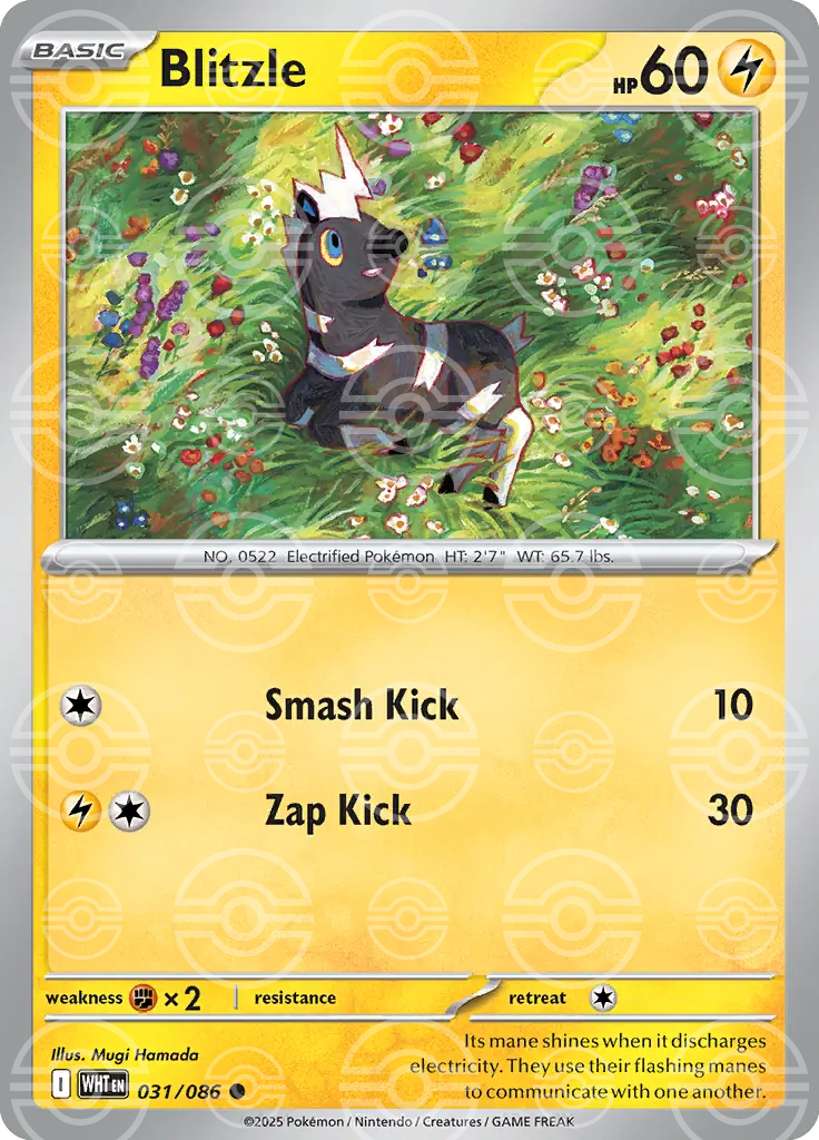 WHT - White Flare - 031/086 - Blitzle (Poké Ball Holo)