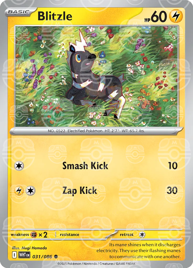 WHT - White Flare - 031/086 - Blitzle (Master Ball Holo)