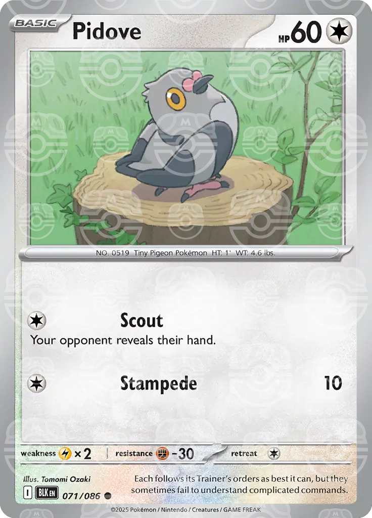 BLK - Black Bolt - 071/086 - Pidove (Master Ball Holo)